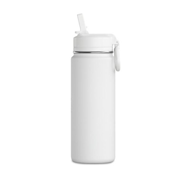 Do It for the Plot — Hydrapeak Water Bottle, 20oz