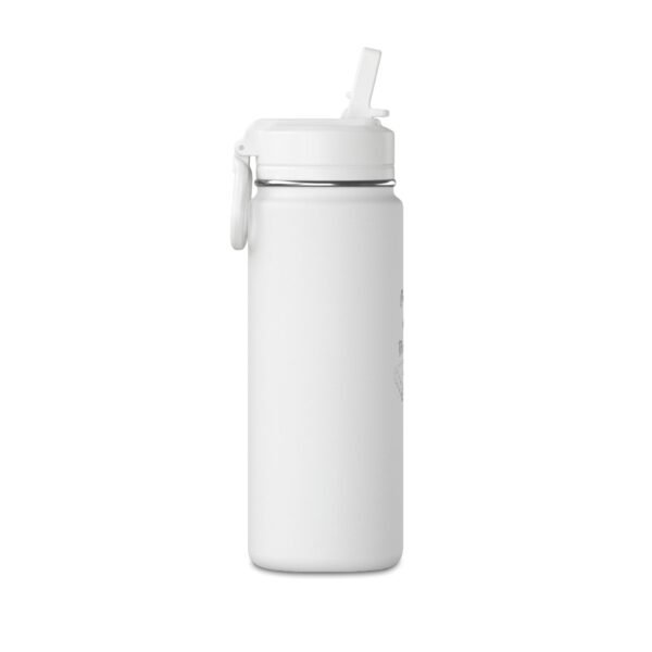 Do It for the Plot — Hydrapeak Water Bottle, 20oz
